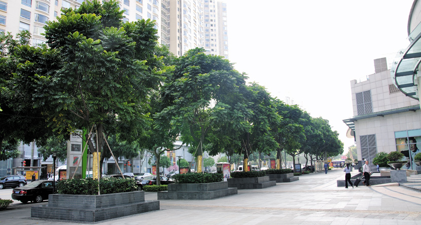 深圳·星河购物公园园建工程